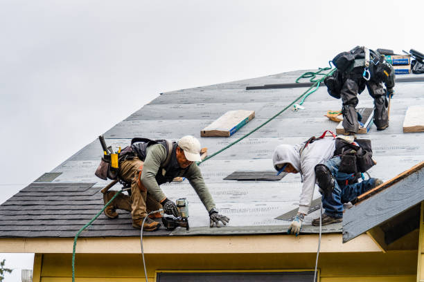 Professional Roofing technician working in Newark, CA